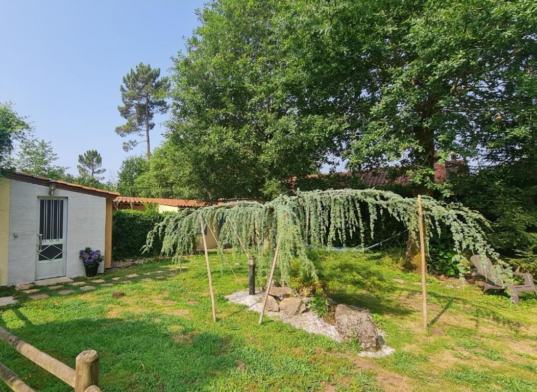 Casa de Férias Casita Sarabia